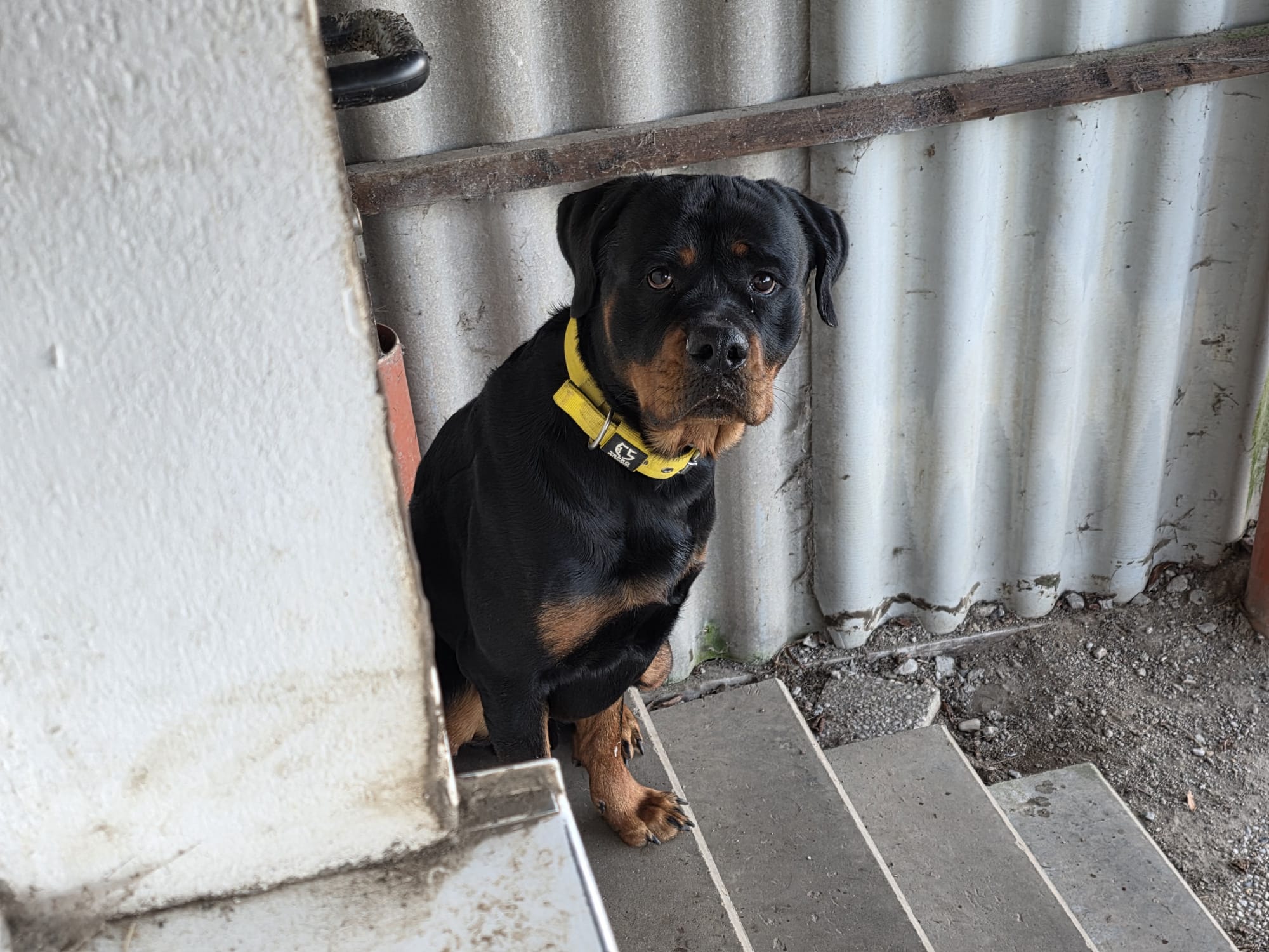 WhatsApp Image 2025-12-25 at 15.53.02.jpeg